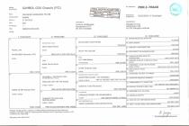 Gambol - Hodowla owczarka szetlandzkiego